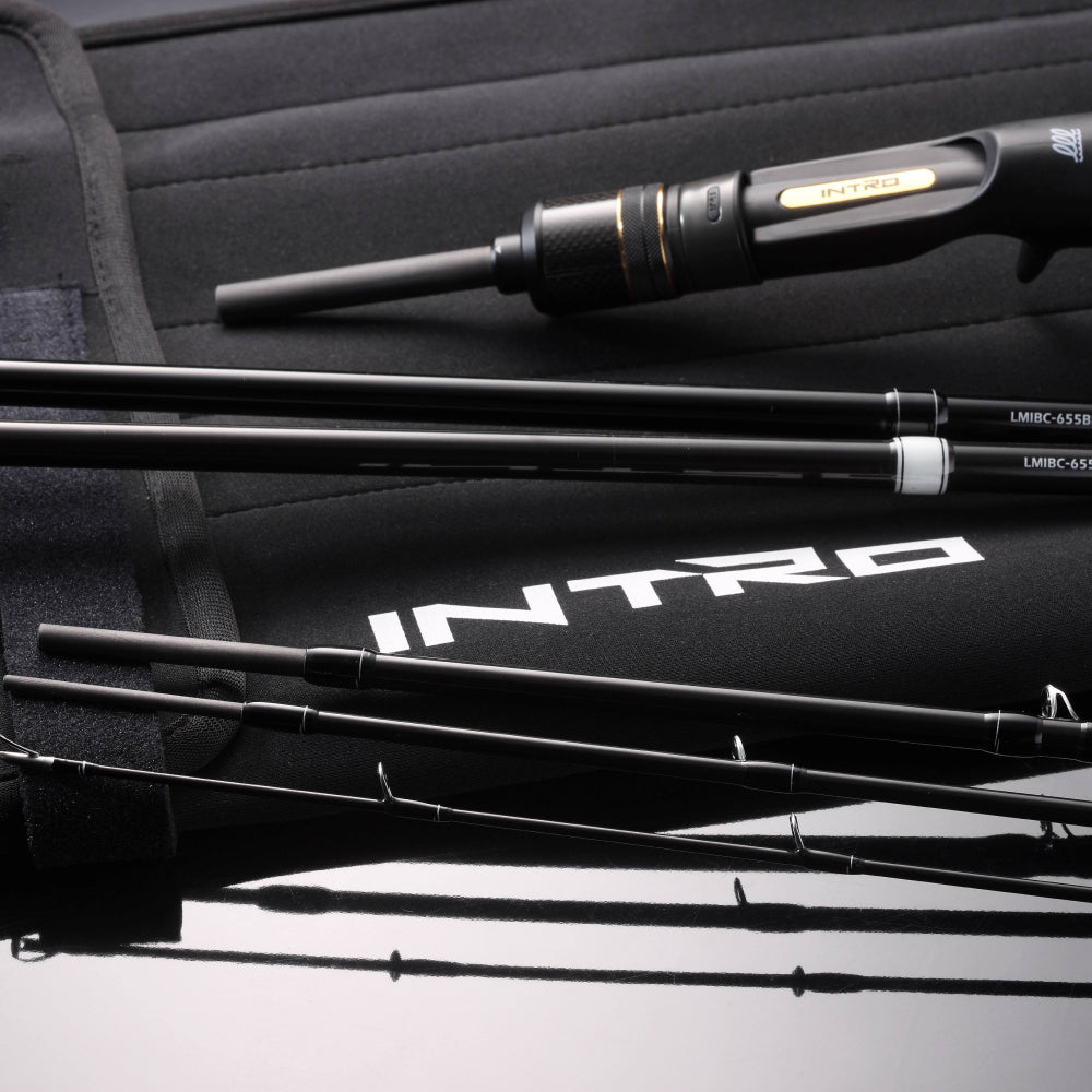 INTRO BF-SWICH(バットチェンジャブル)